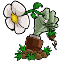 PVZ乐pad活死人之园存档版
