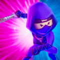 沉默的忍者刺客(Silent Ninja: Stealthy Master Assassin)v1.0.2
