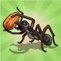 口袋蚂蚁模拟器破解版(Pocket Ants)