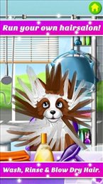 美发沙龙大改造(Hair Salon Makeover)