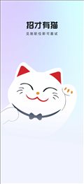 招才有猫