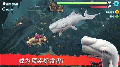 饥饿鲨进化免费无限钻石版
