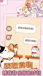 喵咪二重奏