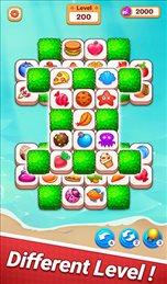 图块匹配梦想家居设计(Tile match)