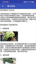 掌中百科