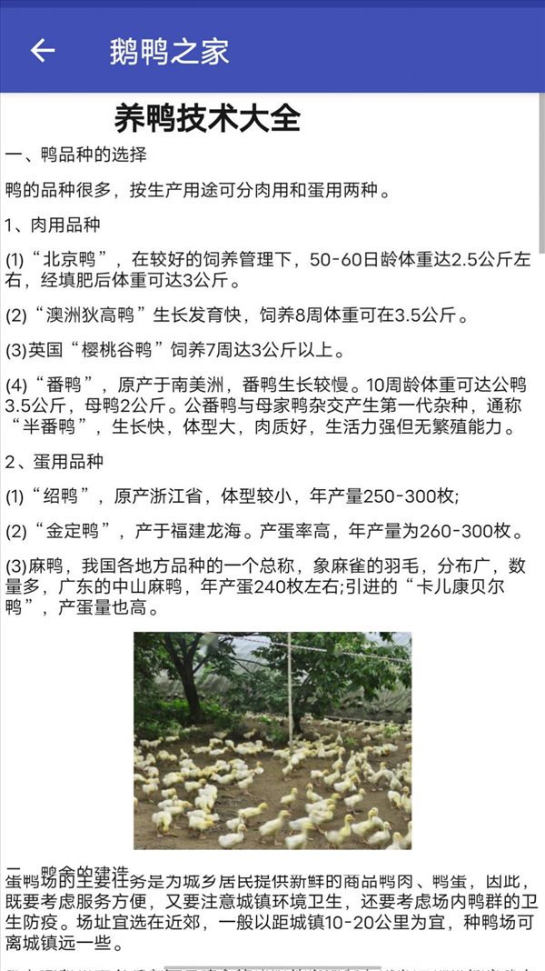 魔盟网