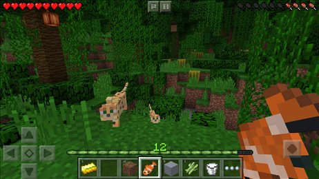 minecraft国际基岩版