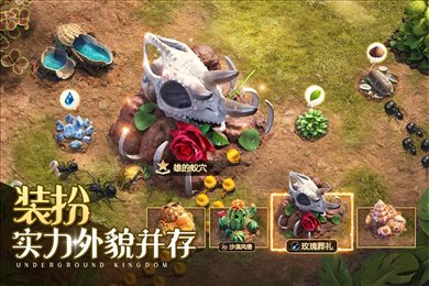 小小蚁国gm版