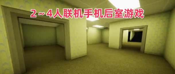 2～4人联机手机后室游戏