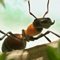 蚂蚁指挥官v1.0.0
