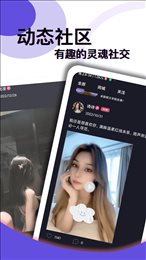 约在觅觅