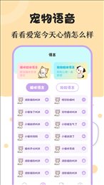 喵喵动物翻译器