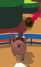 骑牛大赛(bull riding)