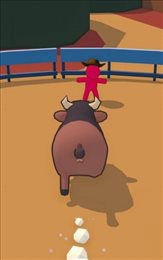 骑牛大赛(bull riding)