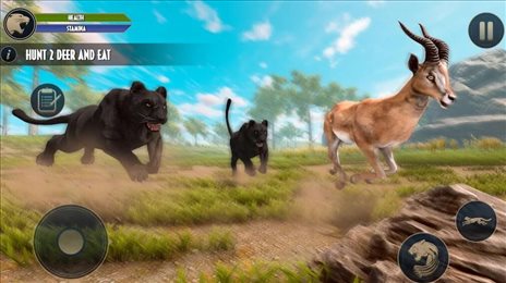 荒野豹动物生活模拟(Wild Panther Animal Life Sim)