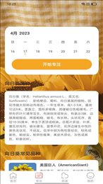 百花步数