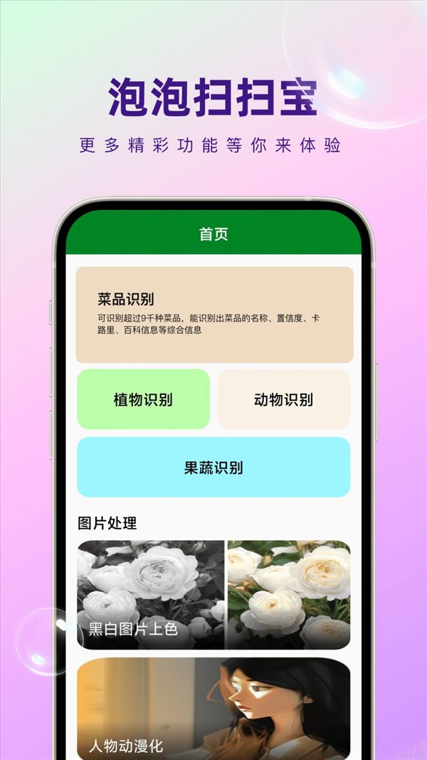 魔盟网