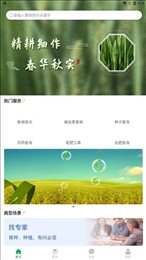 知稻