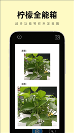 柠檬全能箱