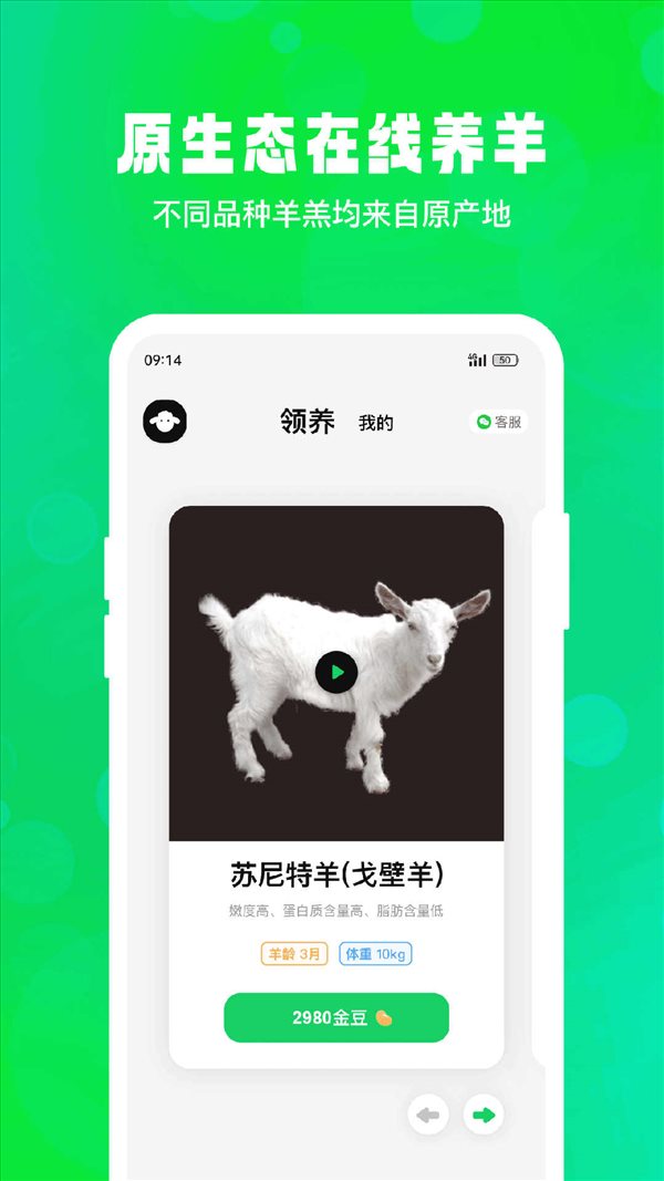魔盟网