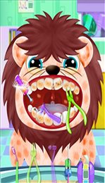 动物牙医护理(Pet Dentist Doctor Care)