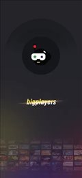 bigplayers充值平台