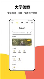 大学答案
