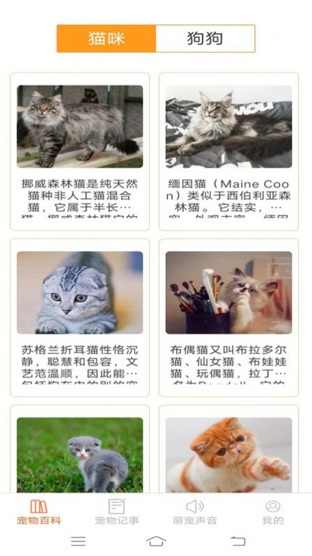 魔盟网