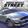 极品地下夜街(Need Night Street)v1.1