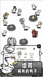 奇怪鸭子世界