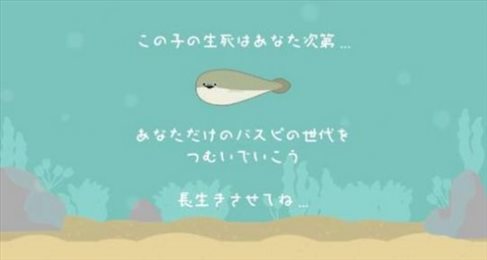 萨卡班甲鱼饲养(バスピ！)