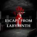 从迷宫逃生(Escape From Labyrinth)