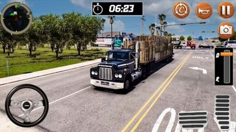 印度卡车货运模拟器(Mud Truck Simulator Offroad 3d)