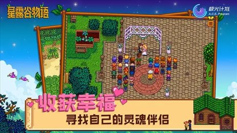 星露谷物语1.5.6内置菜单(Stardew Valley)