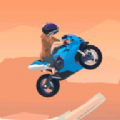 骑手冲刺3D(Rider Rush 3D)
