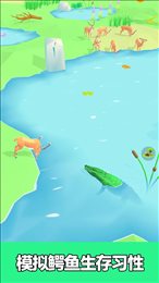彩虹动物园
