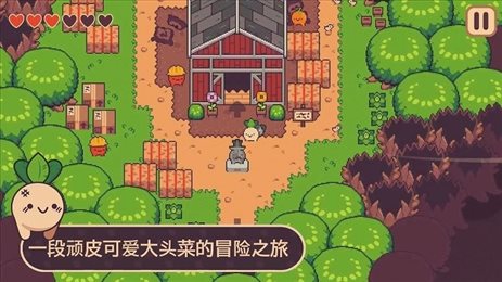 大头菜历险记(Turnip Boy Commits Tax Evasion)