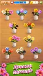 鲜花排序(Flower Sort)