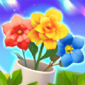鲜花排序(Flower Sort)