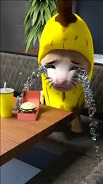 香蕉猫大作战