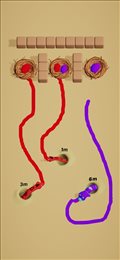 蛇蛇画线冲刺(Snake Rush)