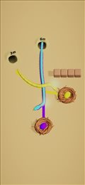 蛇蛇画线冲刺(Snake Rush)