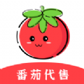 番茄代售v2.1.3