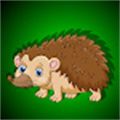 逃离色彩刺猬(Escape The Brown Hedgehog)