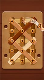 螺母与螺栓拧和分类(Nuts Bolts Wood Screw Puzzle)