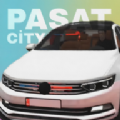 帕萨特汽车之城(Pasat City)v1.0