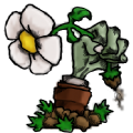 植物大战僵尸核版7.0