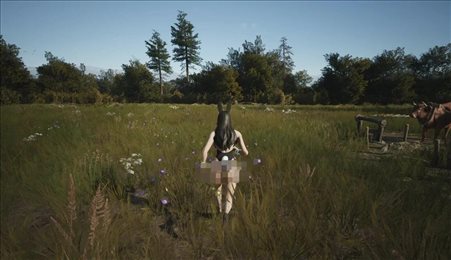 庄园领主仪仗队徽章mod