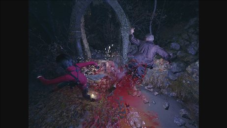 生化危机4重制版艾达替换里昂MOD