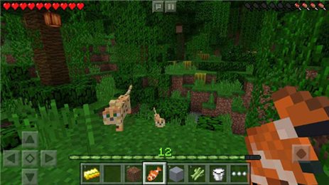 我的世界1.16.5版本